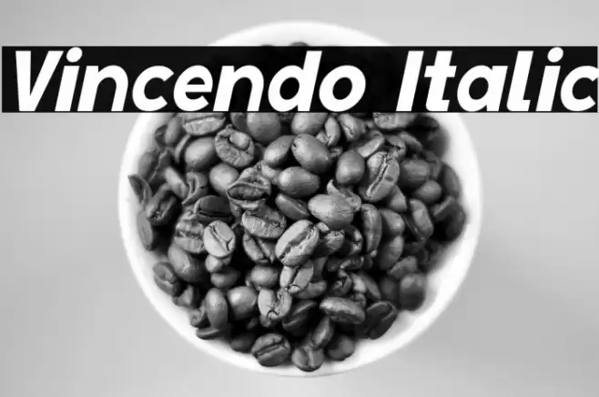 Vincendo Italic Font examples