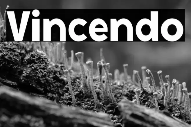 Vincendo Font examples