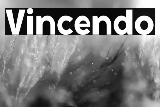 Vincendo Font examples
