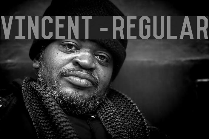 Vincent-Regular Example 1