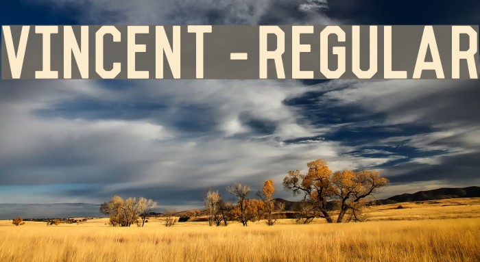 Vincent-Regular Example 2