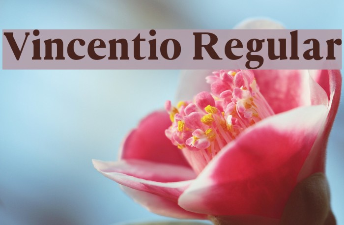 Vincentio Regular Font examples