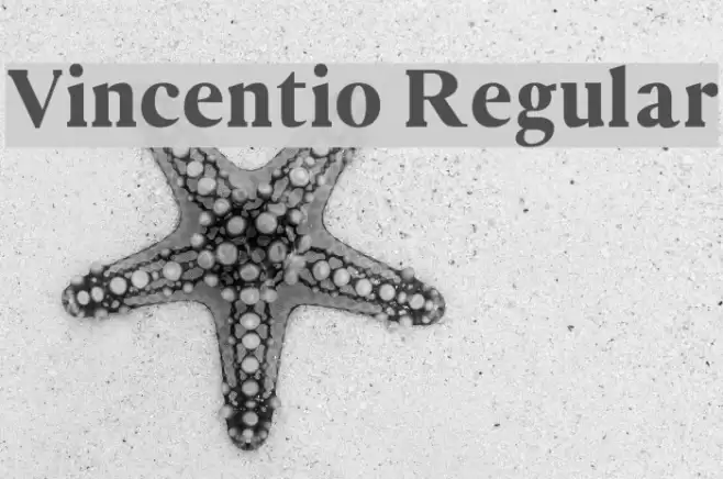 Vincentio Regular Font examples