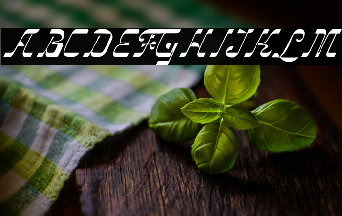 VindaleDEMO Example 2