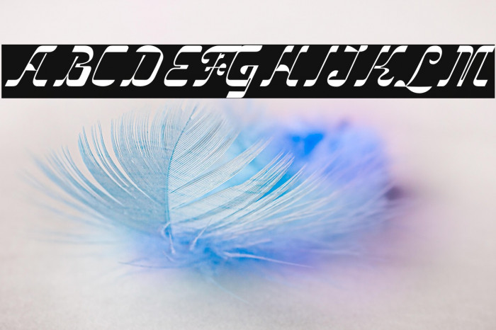 VindaleDEMO Example 3