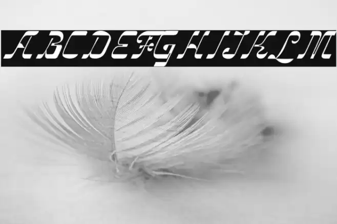 VindaleDEMO Font examples