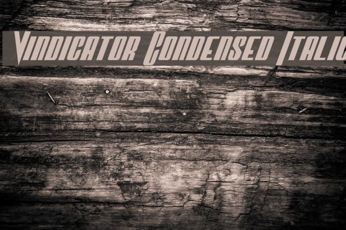 Vindicator Condensed Italic Font examples