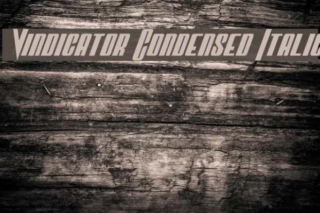 Vindicator Condensed Italic Example 1