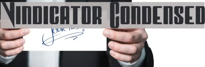 Vindicator Condensed Example 1