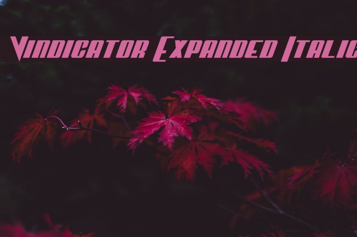 Vindicator Expanded Italic Example 1