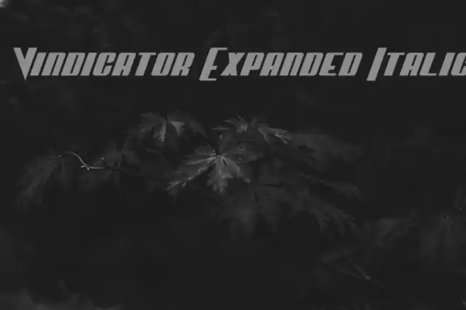 Vindicator Expanded Italic Font examples