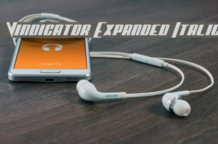 Vindicator Expanded Italic Example 2