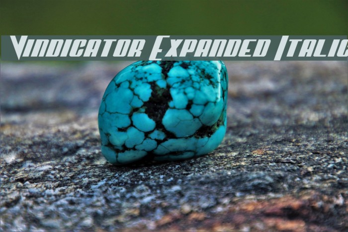 Vindicator Expanded Italic Example 3