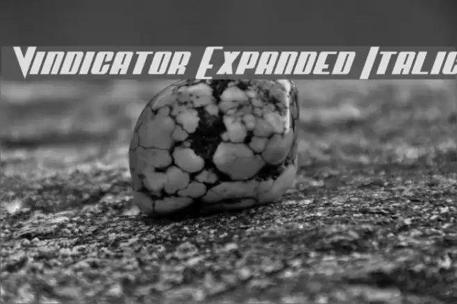 Vindicator Expanded Italic Font examples