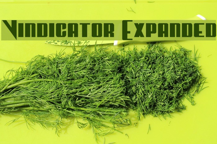 Vindicator Expanded Example 1