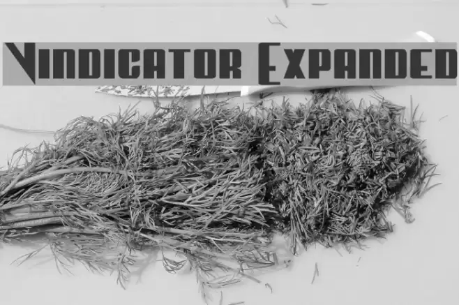 Vindicator Expanded Font examples