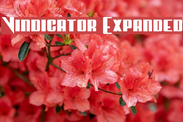 Vindicator Expanded Example 3