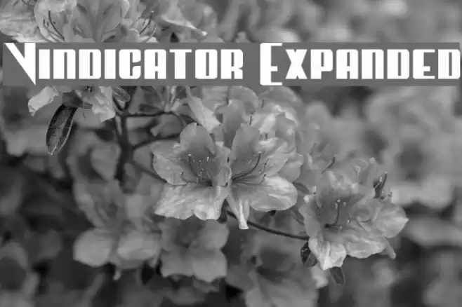 Vindicator Expanded Font examples