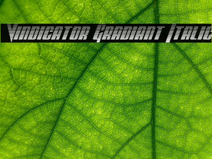 Vindicator Gradiant Italic फ़ॉन्ट examples