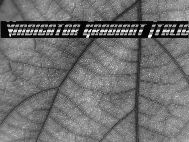 Vindicator Gradiant Italic फ़ॉन्ट examples