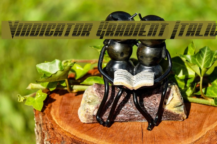 Vindicator Gradient Italic Example 3