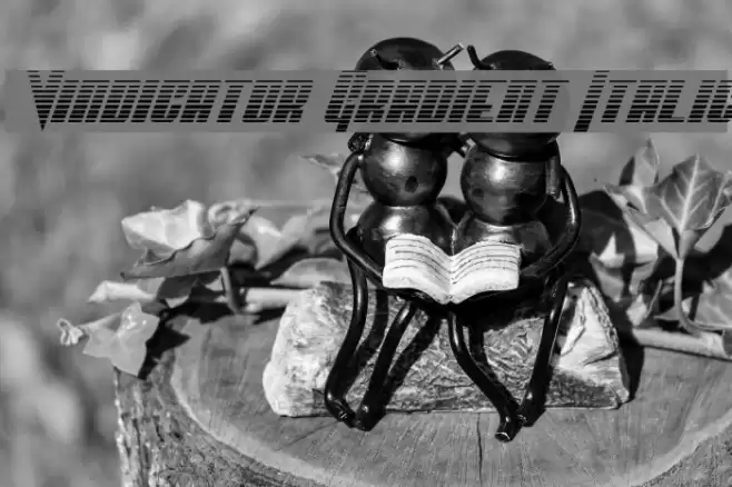 Vindicator Gradient Italic Font examples