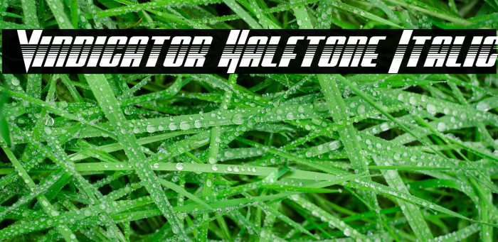 Vindicator Halftone Italic फ़ॉन्ट examples