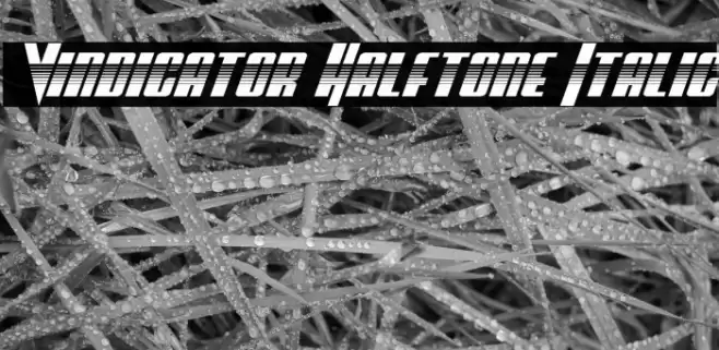 Vindicator Halftone Italic फ़ॉन्ट examples