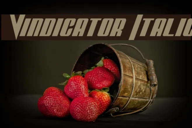 Vindicator Italic Example 3