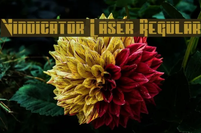 Vindicator Laser Regular Example 2