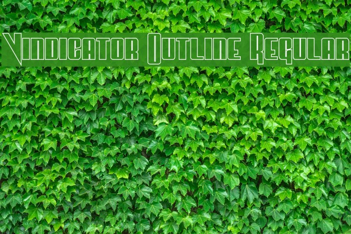 Vindicator Outline Regular Font examples