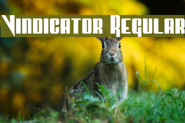 Vindicator Regular Font examples