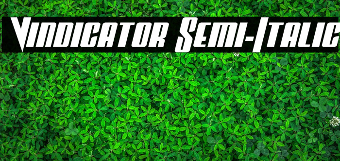 Vindicator Semi-Italic Font examples