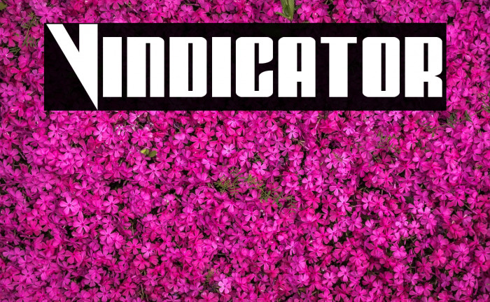 Vindicator Font examples