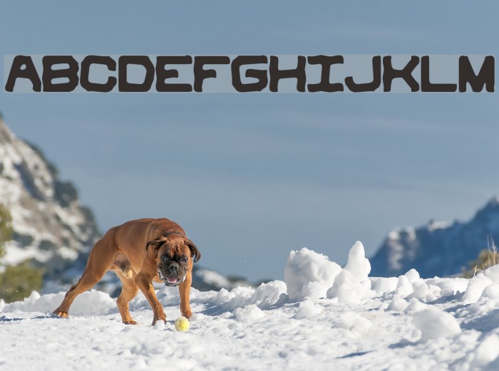 Vindictive BRK Font examples