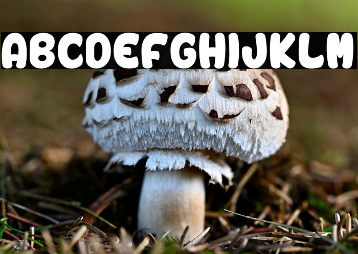 Vinegar Stroke_PersonalUseOnly Example 3