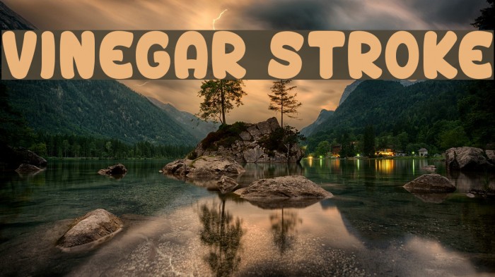 Vinegar Stroke Font examples