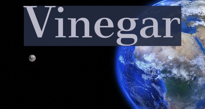 Vinegar Font examples