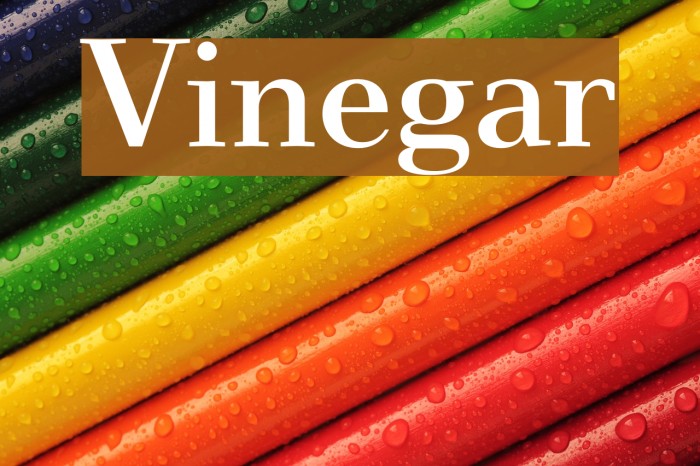 Vinegar Font examples