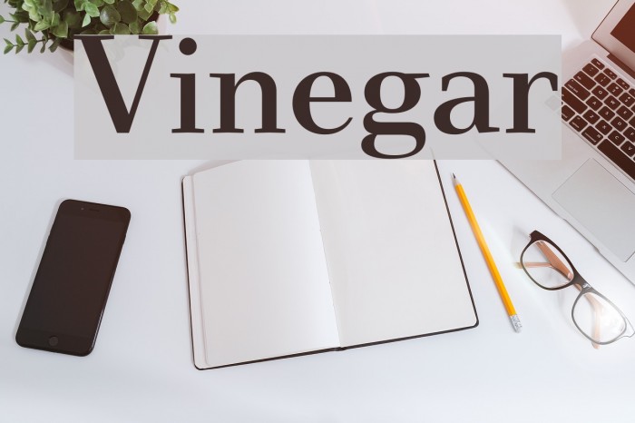 Vinegar Font examples