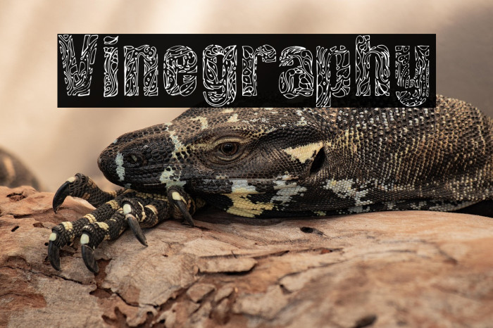 Vinegraphy Example 1