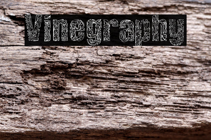 Vinegraphy Example 2