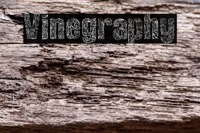 Vinegraphy Example 2