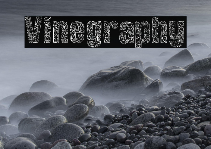 Vinegraphy Example 3