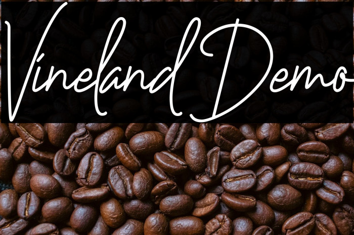 Vineland Demo Шрифта examples