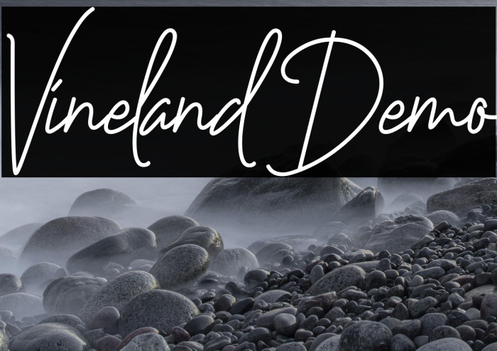Vineland Demo Шрифта examples