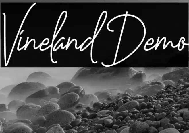 Vineland Demo Fuentes examples