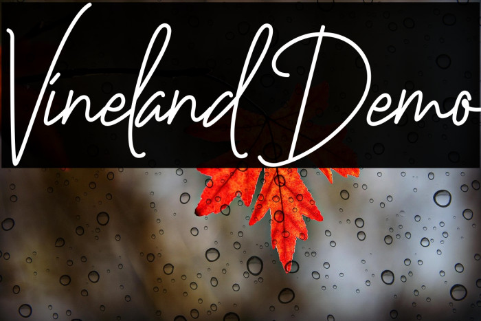 Vineland Demo Шрифта examples