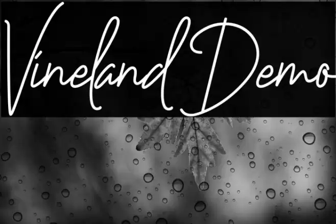 Vineland Demo Fuentes examples