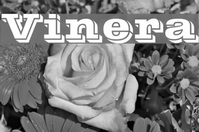 Vinera Font examples